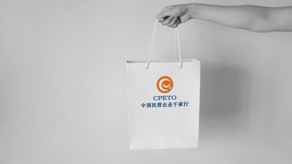 民營企業(yè)_LOGO設(shè)計(jì)_VI設(shè)計(jì)